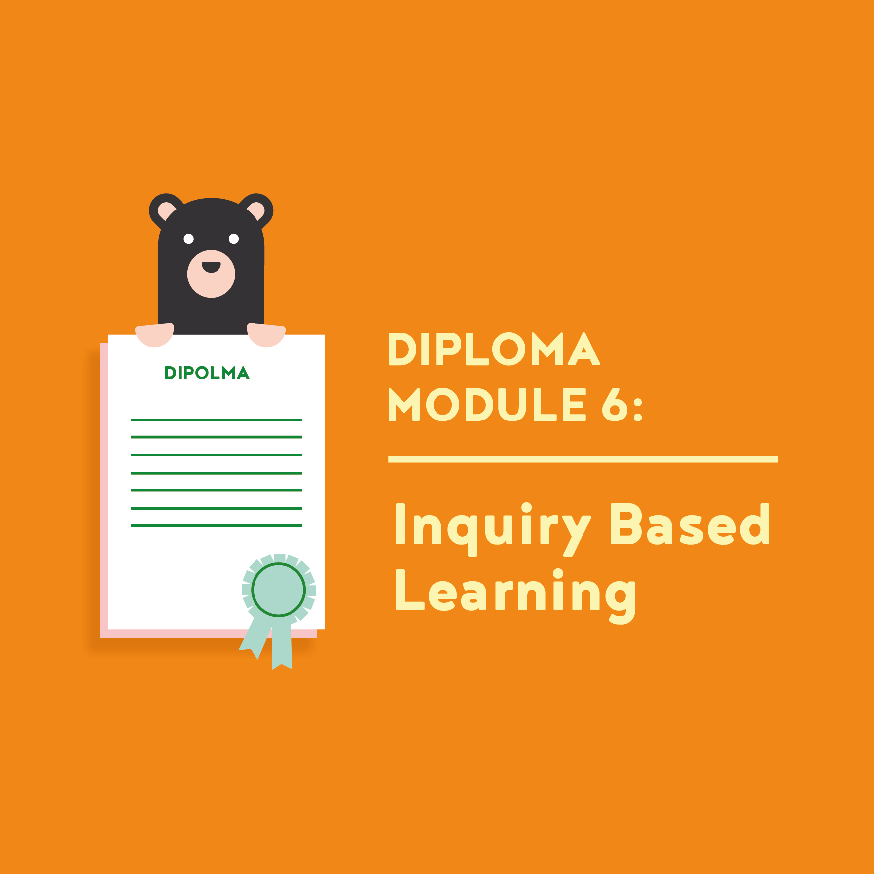 Teacher Diploma Module 6