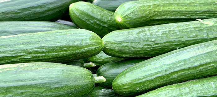 Cucumber Health Benefits