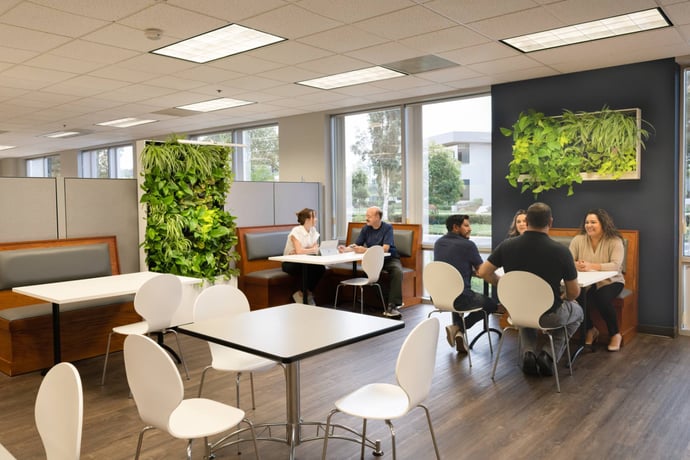 How Do Plants Impact The Workspace?