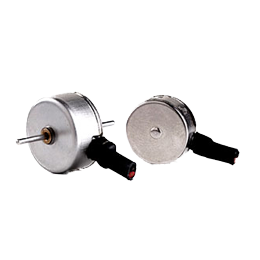 Micro Motors Micro Motors