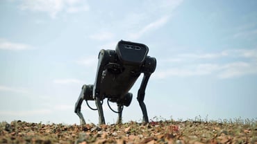 Video: Ontmoet Space, de eerste robotkantoorhond ter wereld