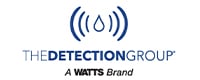 The Detection Group