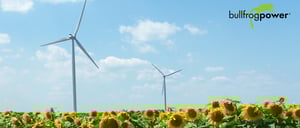 Celebrating sustainability for Earth Hour