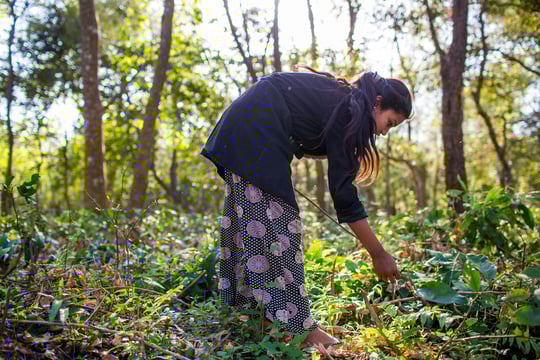 Ecological-connectivity