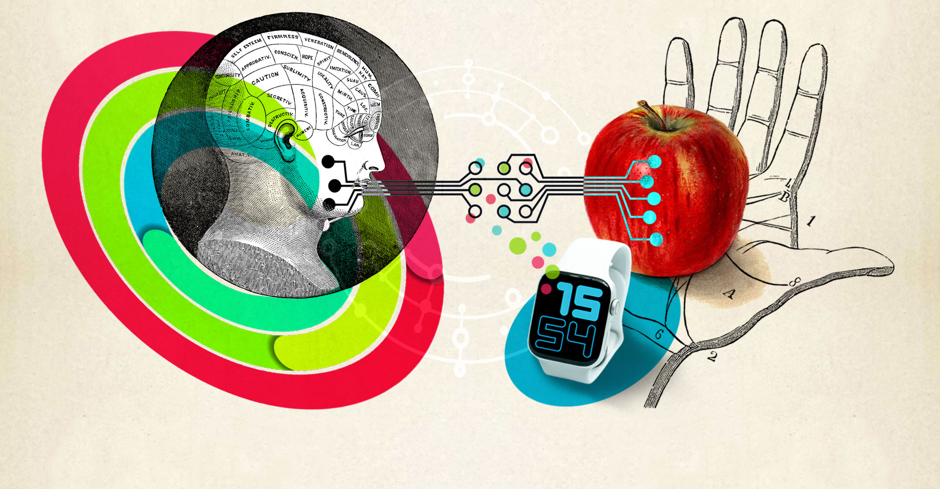 [Image: WDTIKAM_apple-watch_final.jpg]
