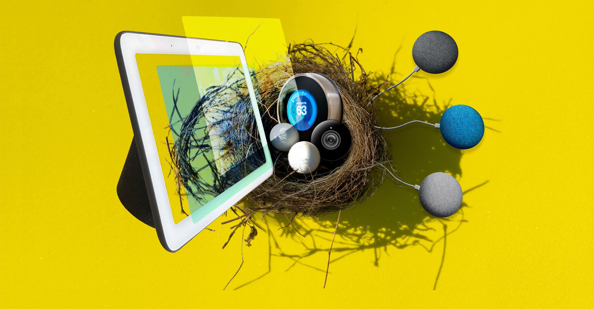 [Image: WDTIKAM_nest.1.jpg]