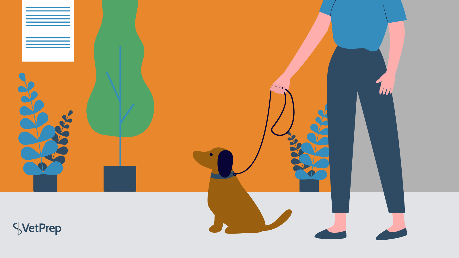 Sep2020_VPBlog03_Header