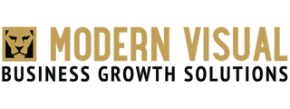 Modern Visual Logo