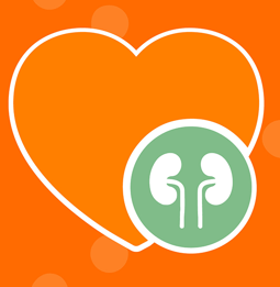 It’s National Heart Month….So Why are We Talking About the Kidneys?