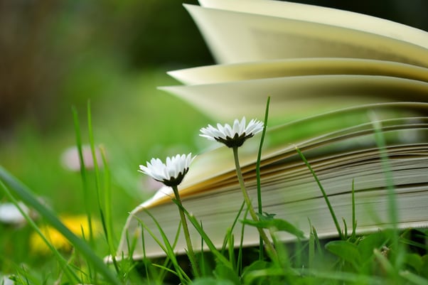 Reflections on Hindu Studies – An Eye Opener