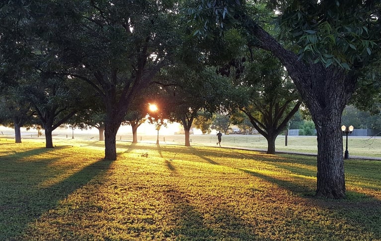 Make the most of those longer evenings