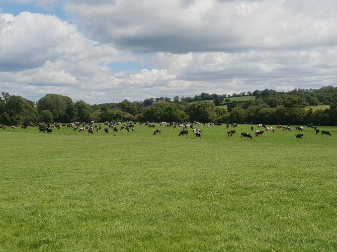 IE Figured Farmers - William McCullagh and ifac's FarmPro service