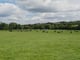 IE Figured Farmers - William McCullagh and ifac's FarmPro service