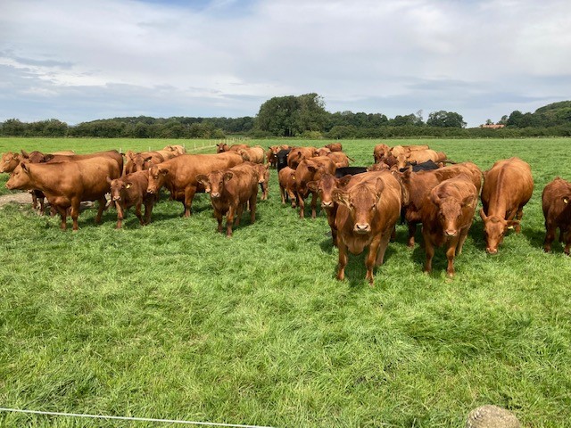 How RFSW & Figured are helping US farmers achieve their financial goals