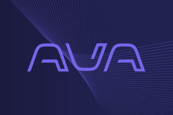 The beginning of Ava and how we shape Unified Security