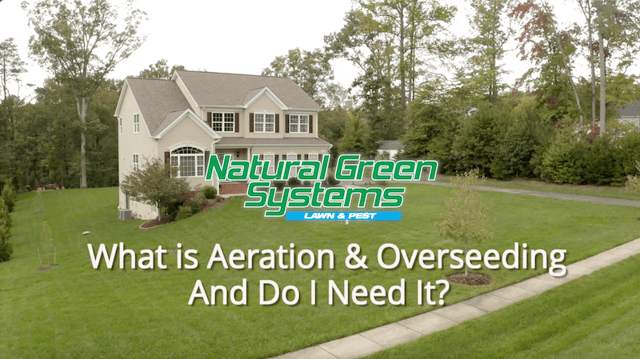 what is aeration and seeding