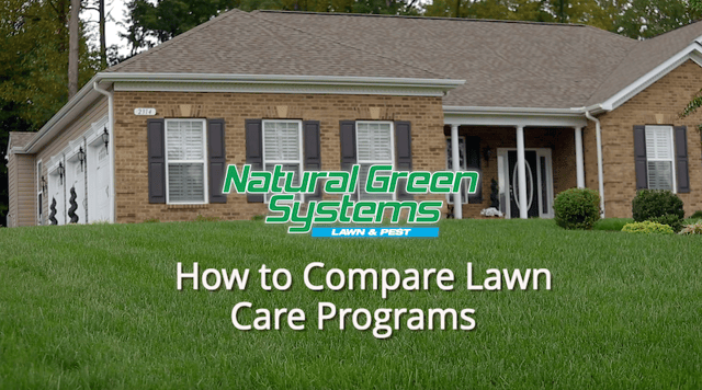 how to compare lawn care programs