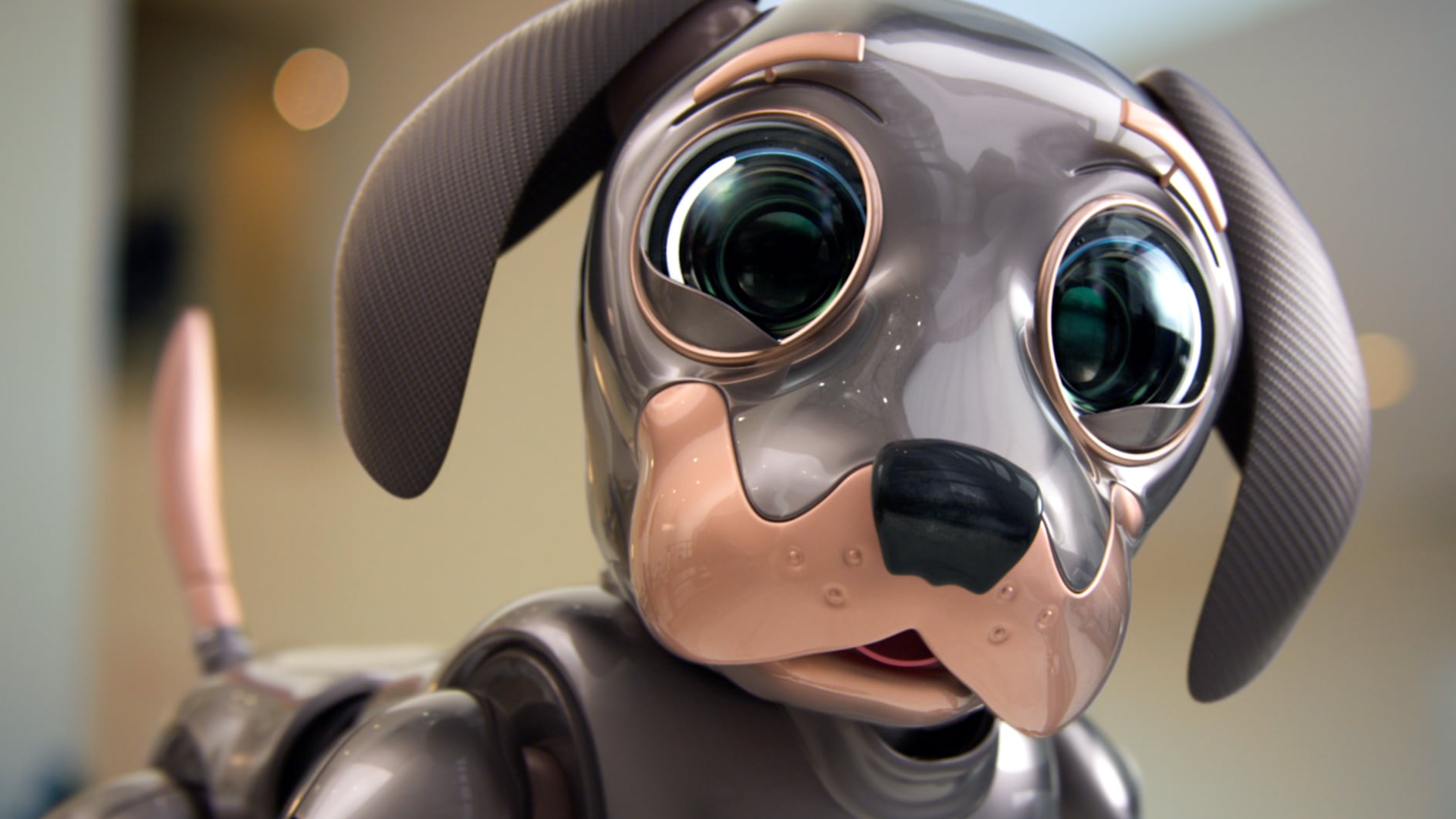 Kia launches “Robo Dogmented Reality” experience for Super Bowl