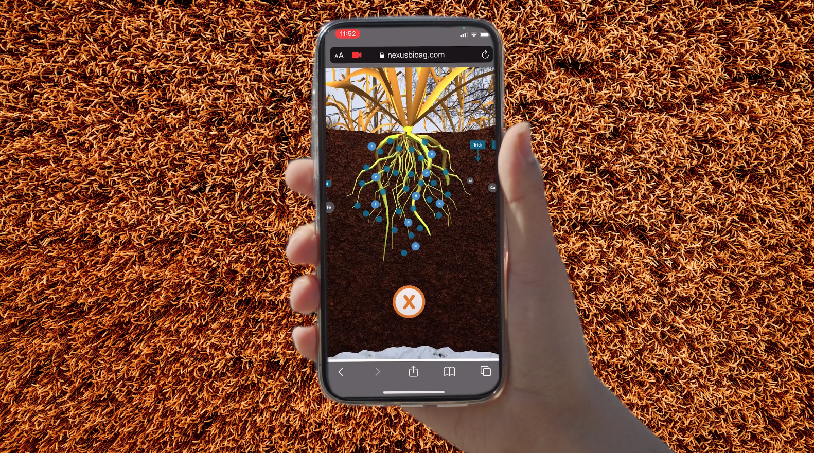 NexusBioAg takes wheat growers underground with a WebAR demonstration of its new inoculants