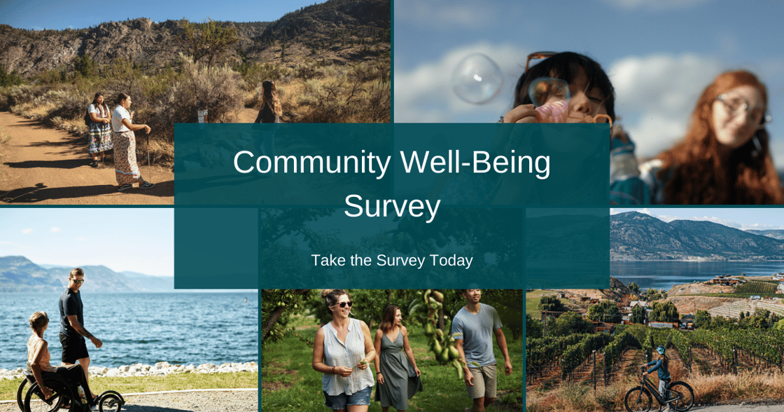 Community Well-Being Survey