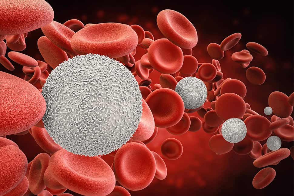 New treatments bring hope to blood cancer patients