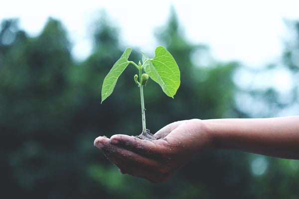 modern workplace with sustainability in mind