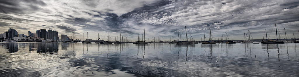 san diego bay peasap