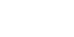 Brulin Logo