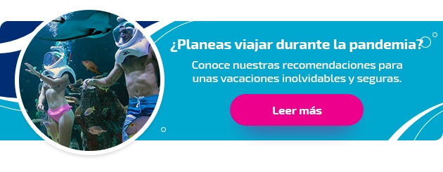 Viajar al caribe mexicano - viajar durante pandemia 