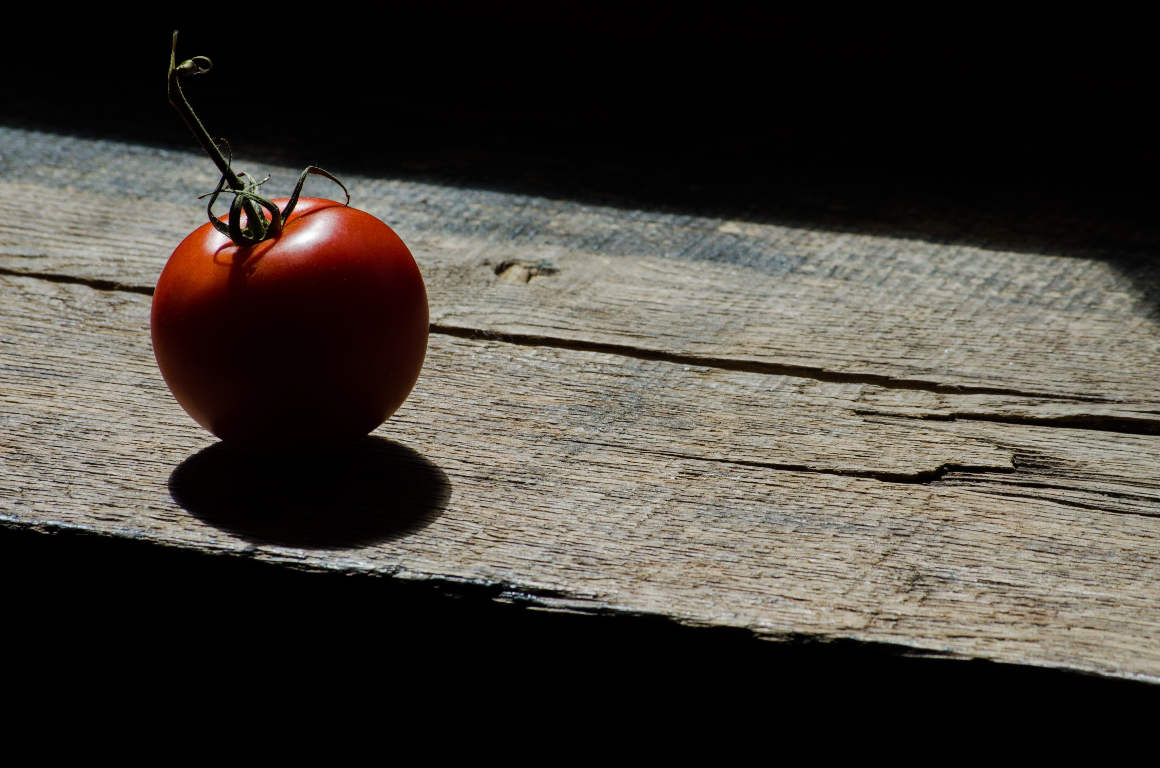 Tomate-einzeln-2