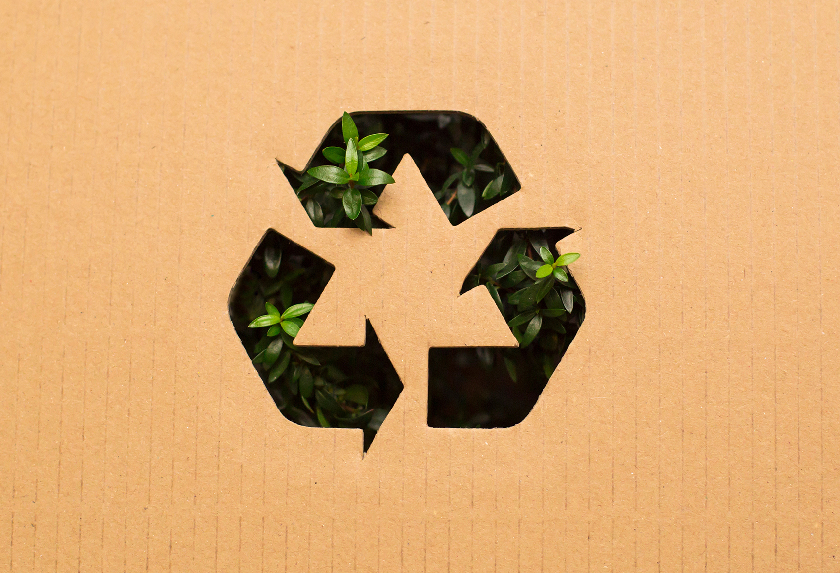 Creative Ways to Repurpose and Recycle  Packaging