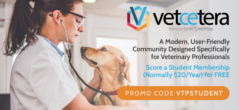 Introducing Vetcetera