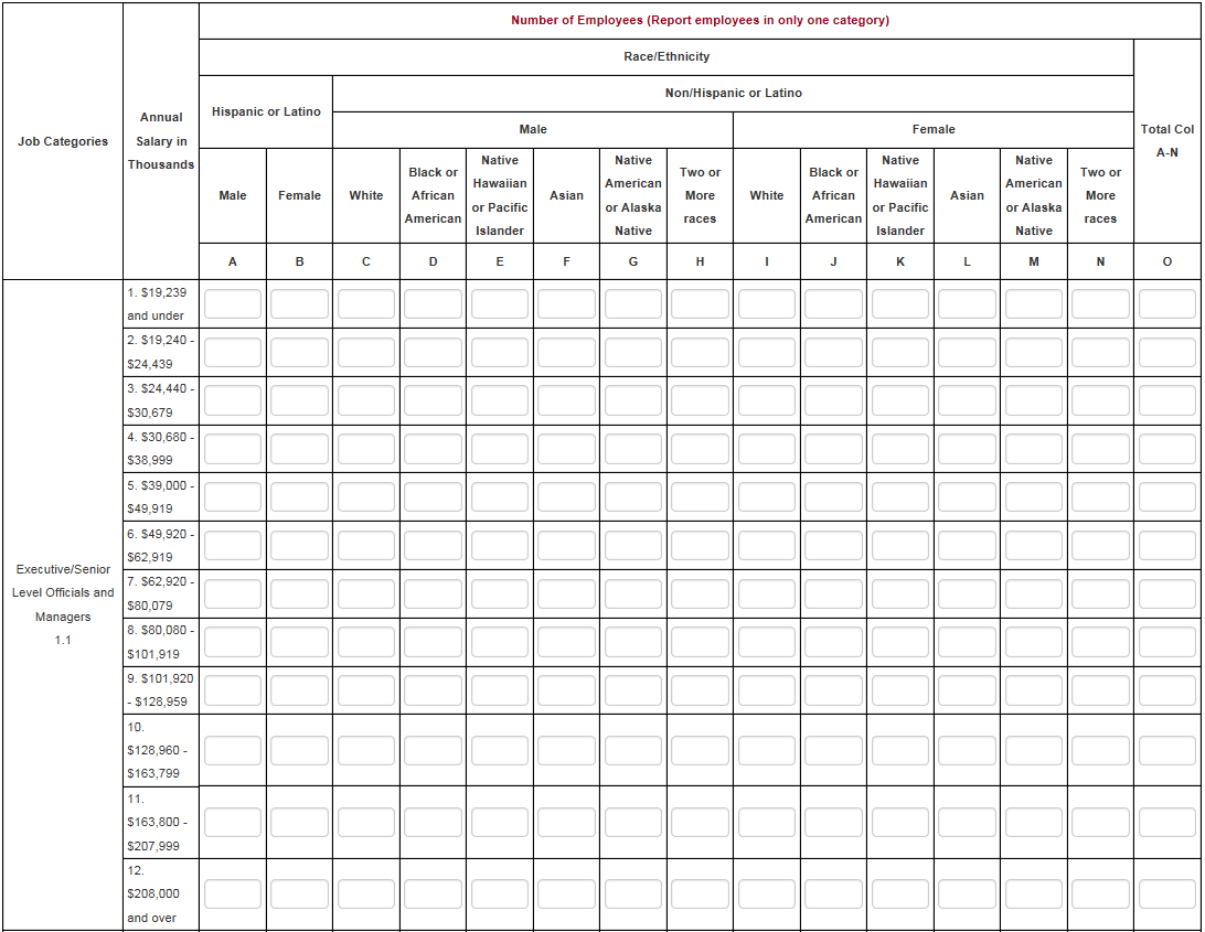 Eeo 20 Report Template