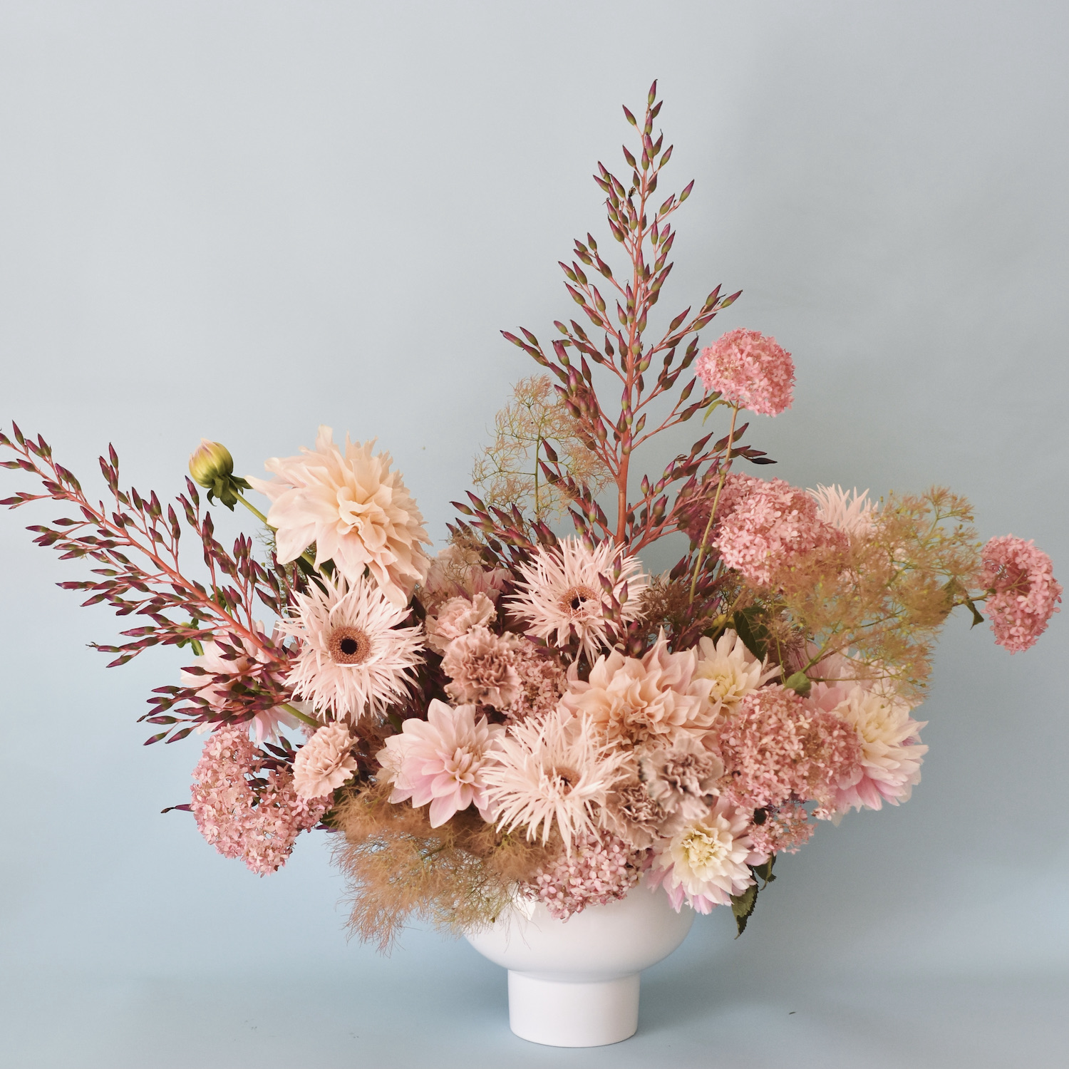 still carnations -1