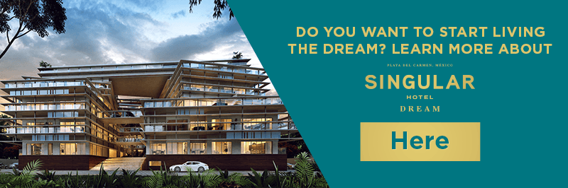 Learn more about Singular Dream here