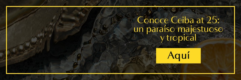 Nueva llamada a la acción