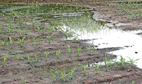 compattazione-del-terreno-acqua-1