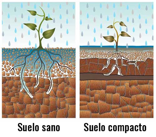 compattazione-del-terreno-differenze-SPA