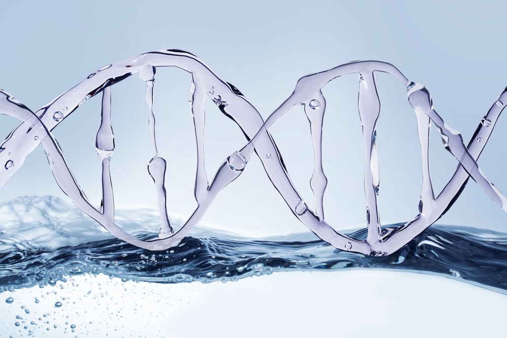 https www bbjgroup com blog dhc and me is it time to dna test your property