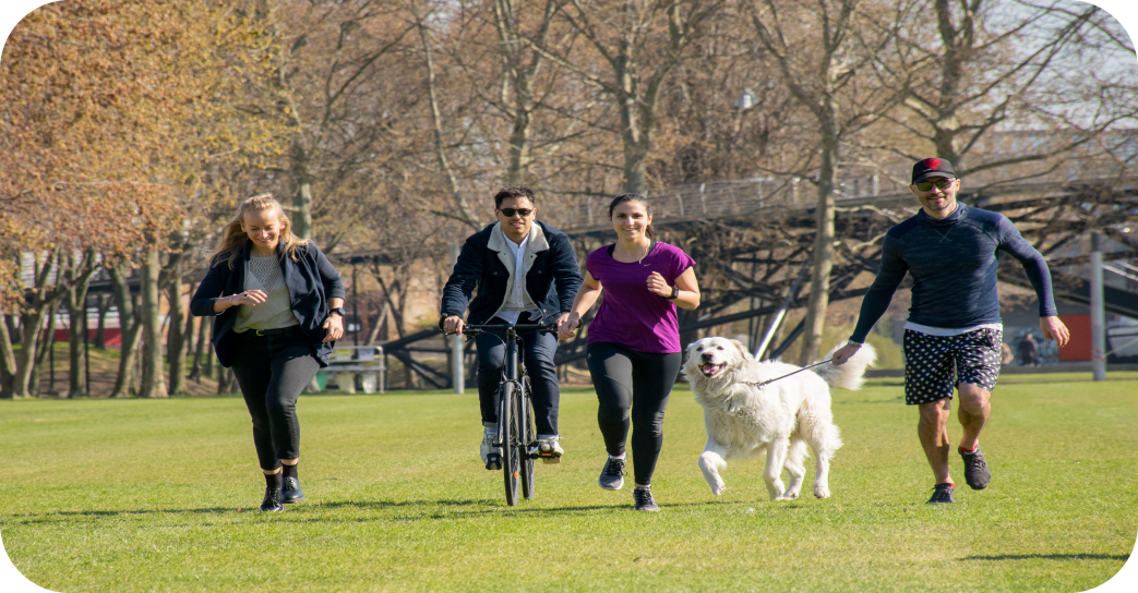 4 personnes en 1 chien qui courent 