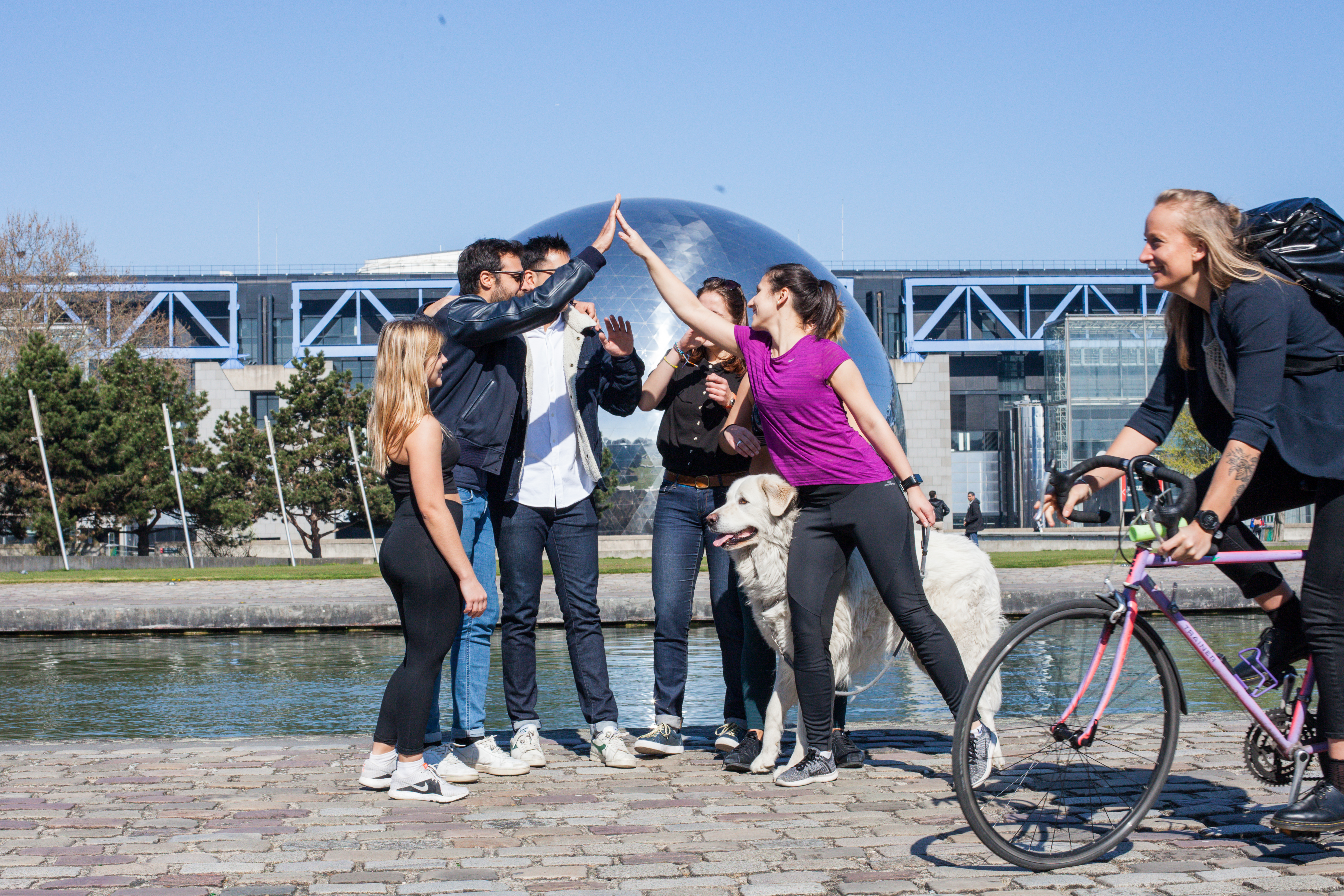 sport well-being companies