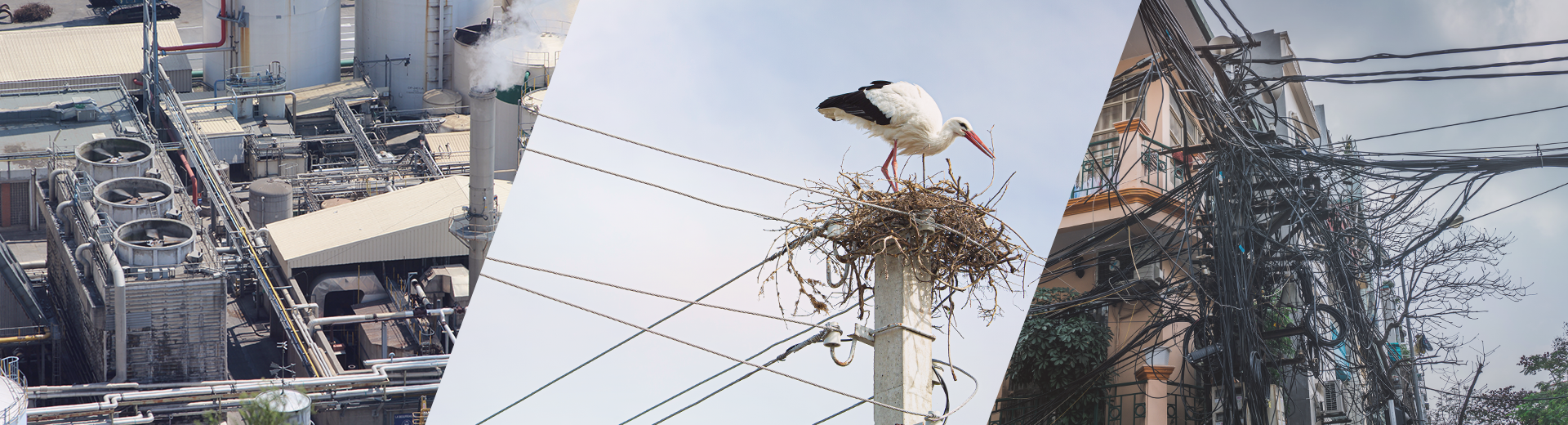 futur responsive fassemheim