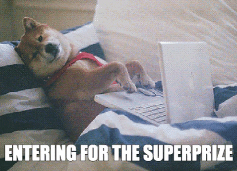 7 bonnes raisons d’emmener son chien au travail