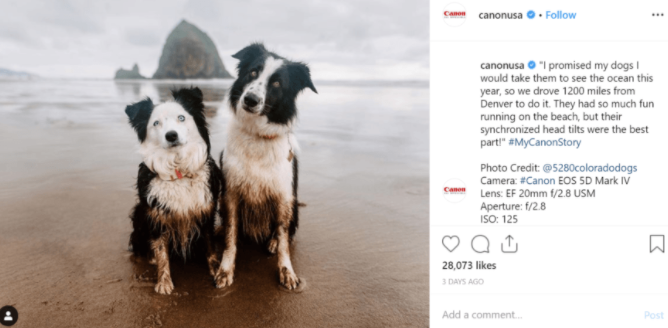 Social media user-generated content