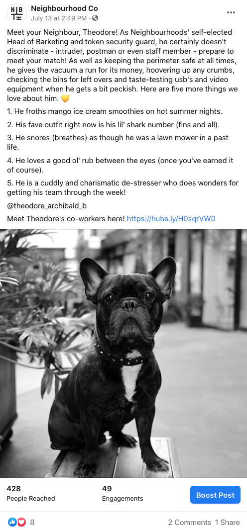 Social media employee highlights