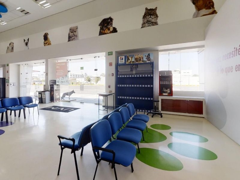 campus-coyoacan-veterinaria-uvm