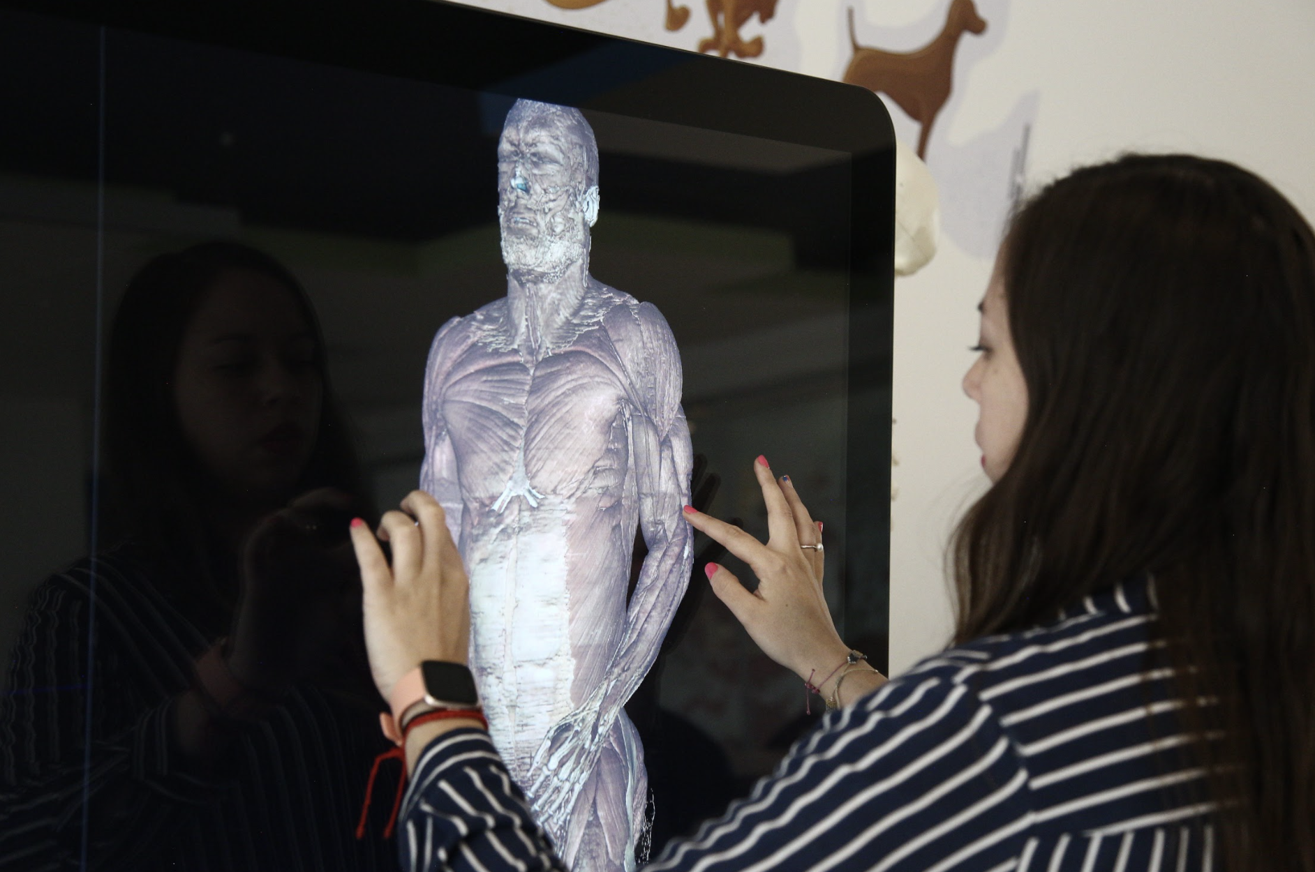 Screen Shot 2563-10-07 at 18.24.29