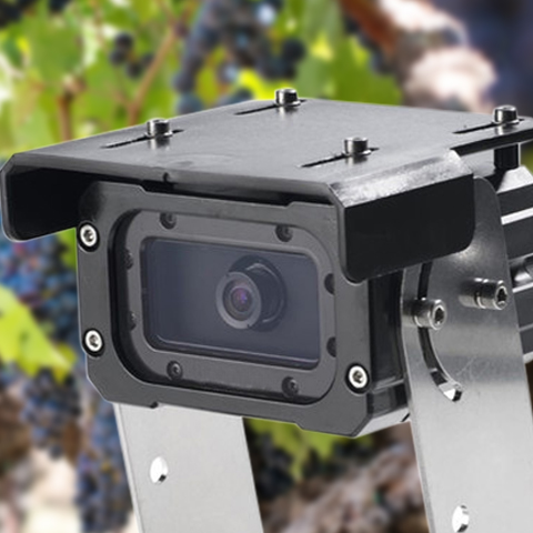 Caméra embarquée dans un vignoble
