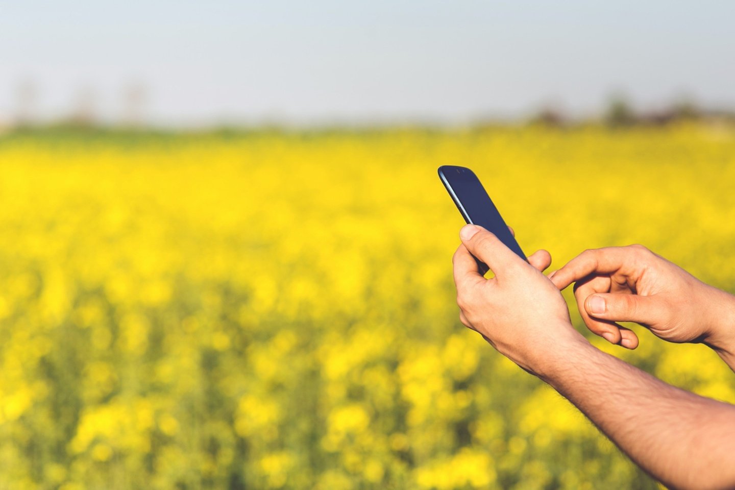 Professional alerting a threat in a field with his smartphone