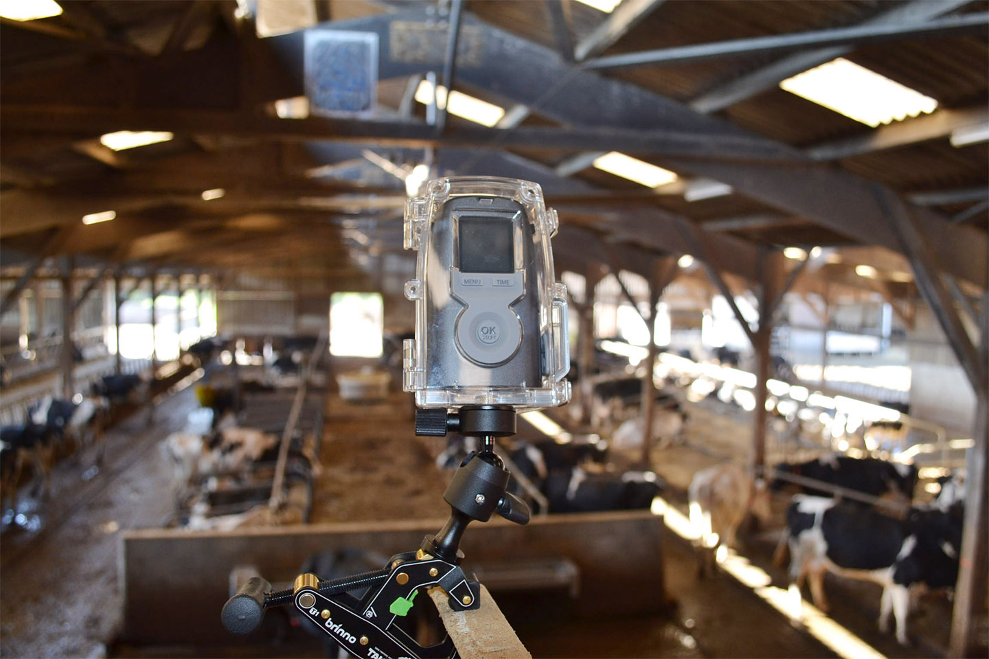 Automatic surveillance camera in the building of a cattle breeding farm